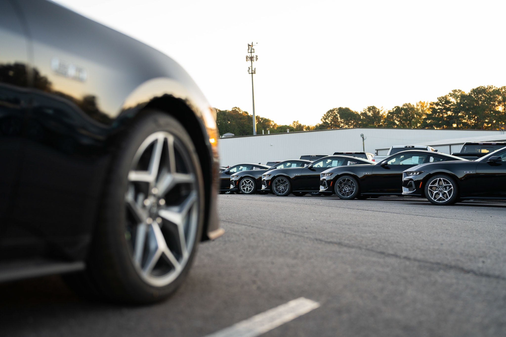 A line of Mustangs waiting to be turned into Mustang RTRs with paint to sample inclusions